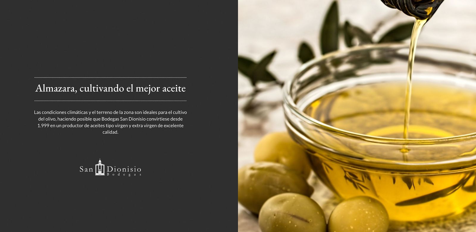 Diseño UI/UX de la home de la línea de aceite de Bodegas San Dionisio